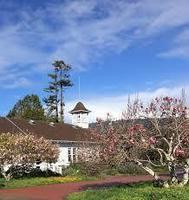 Preschool Opening for 3-year Olds