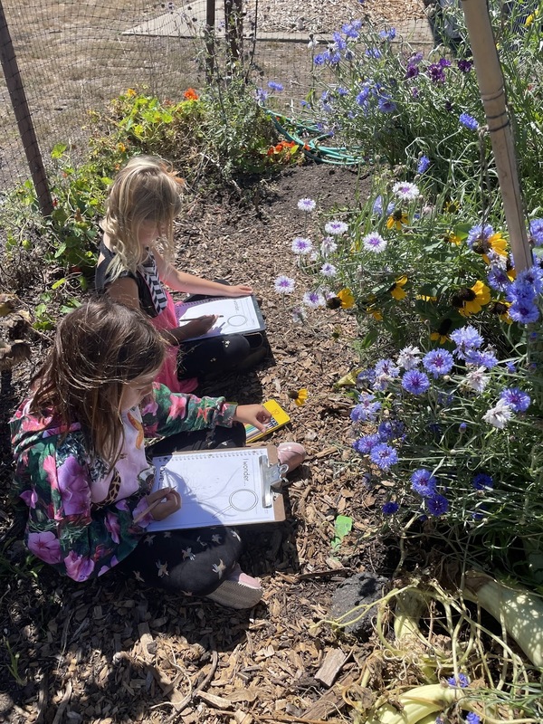 2nd Grade in the Garden